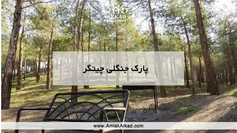 معرفی پارک جنگلی چیتگر معرفی پارک جنگلی چیتگر