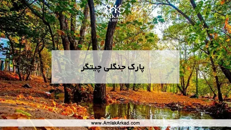 معرفی پارک جنگلی چیتگر معرفی پارک جنگلی چیتگر