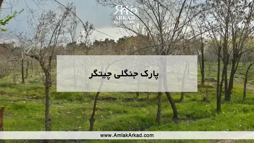 معرفی پارک جنگلی چیتگر معرفی پارک جنگلی چیتگر