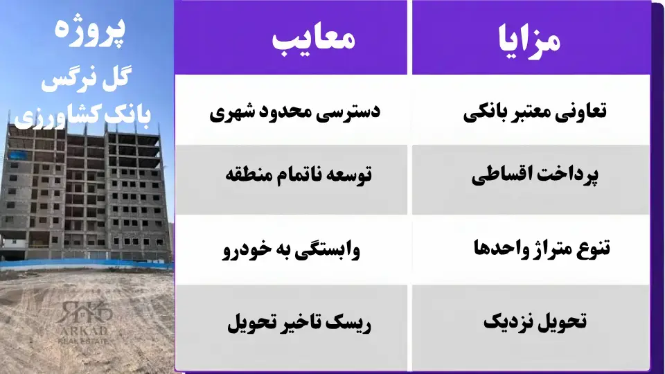  پروژه گل نرگس برای چه کسانی مناسب است؟