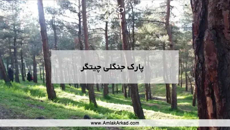 معرفی پارک جنگلی چیتگر معرفی پارک جنگلی چیتگر