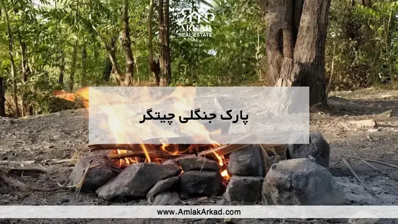 معرفی پارک جنگلی چیتگر معرفی پارک جنگلی چیتگر