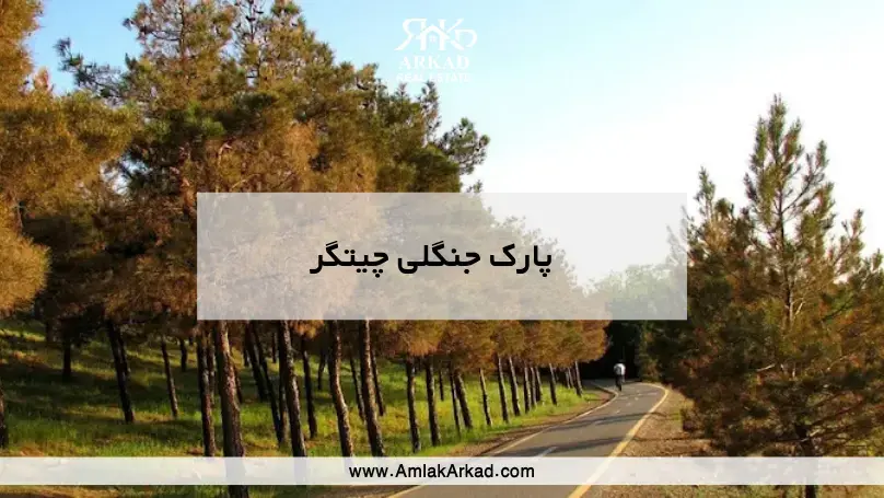 معرفی پارک جنگلی چیتگر معرفی پارک جنگلی چیتگر