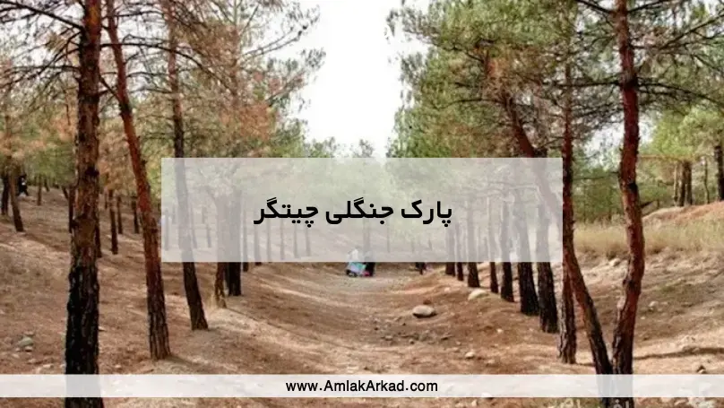 معرفی پارک جنگلی چیتگر معرفی پارک جنگلی چیتگر