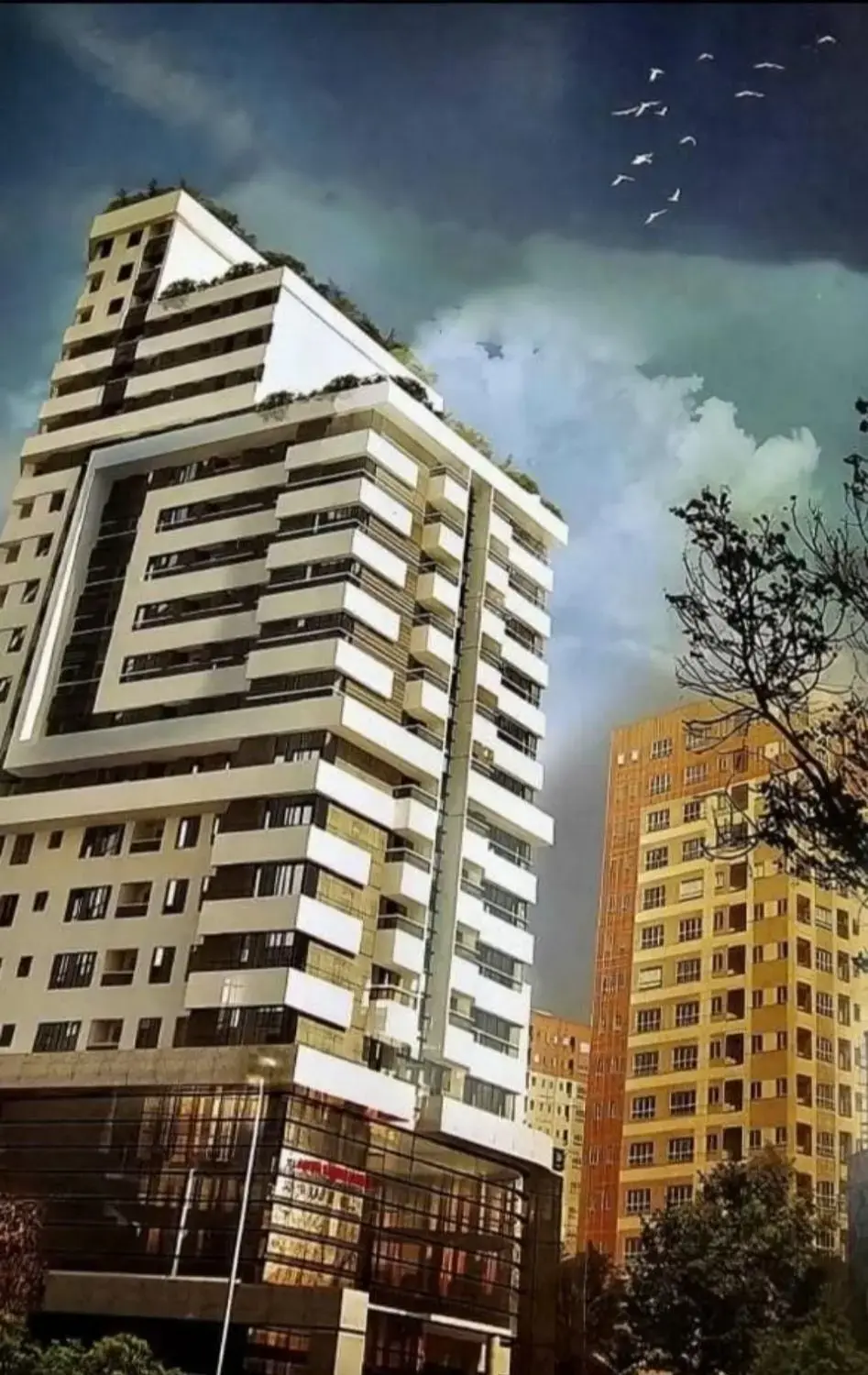 پروژه دندان پزشکان امیر کبیر